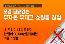 내 돈없이 내 상품없이 한달에 3,000만원 벌어본 의류쇼핑몰 창업노하우 PDF